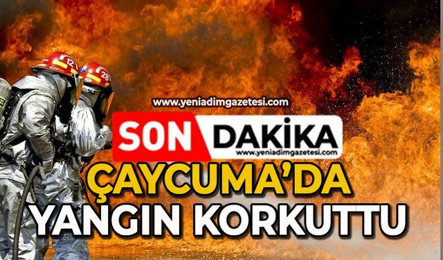 Çaycuma’da yangın korkuttu