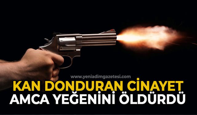 Kan donduran cinayet: Amca yeğenini öldürdü