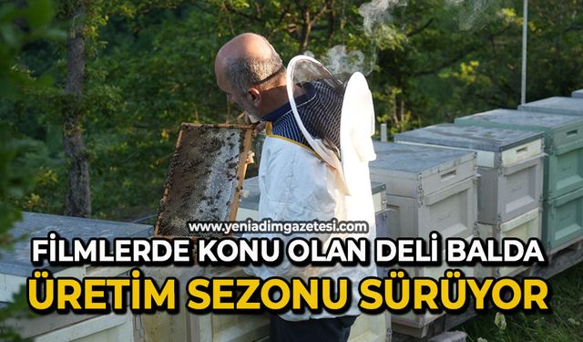 Filmlere konu olan deli balda üretim sezonu sürüyor