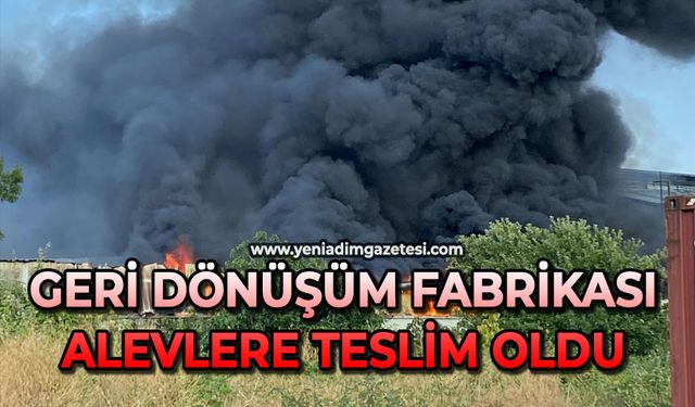 Geri dönüşüm fabrikası alevlere teslim oldu