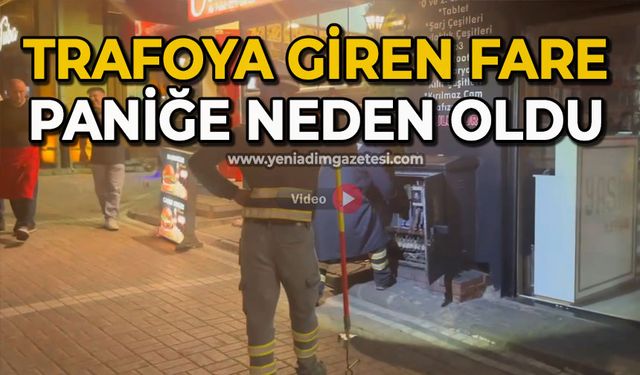Trafoya giren fare paniğe neden oldu