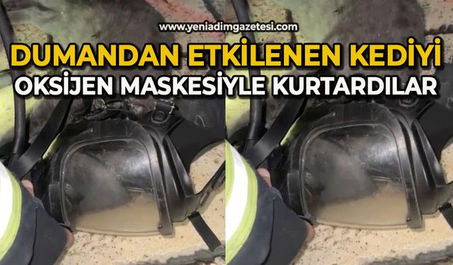 Dumandan etkilenen kediyi oksijen maskesiyle kurtardılar