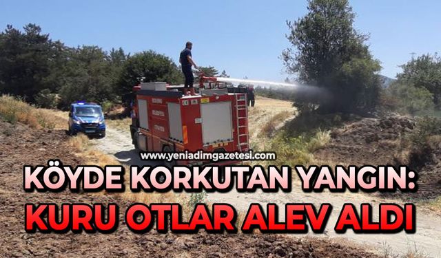 Köyde korkutan yangın: Kuru otlar alev aldı