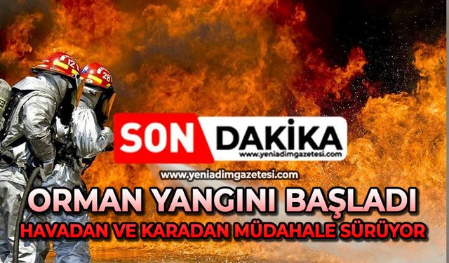 Orman yangını başladı: Havadan ve karadan müdahale sürüyor