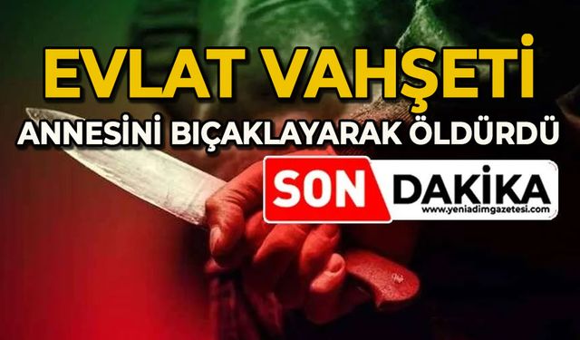 Evlat vahşeti: Annesini defalarca bıçaklayarak öldürdü