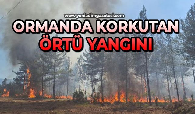Ormanda korkutan örtü yangını