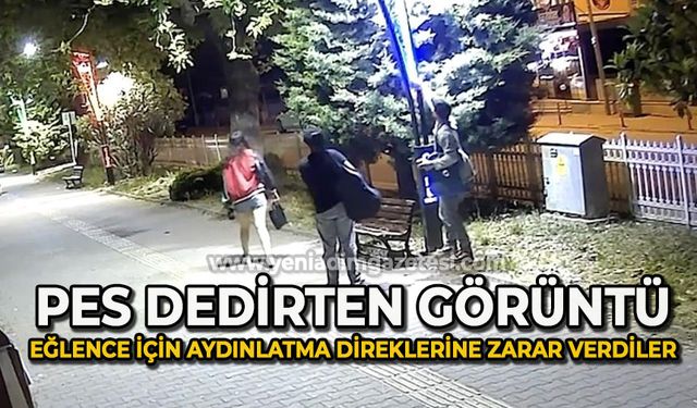 Pes dedirten görüntü: Eğlence için aydınlatma direklerine binlerce liralık zarar verildi