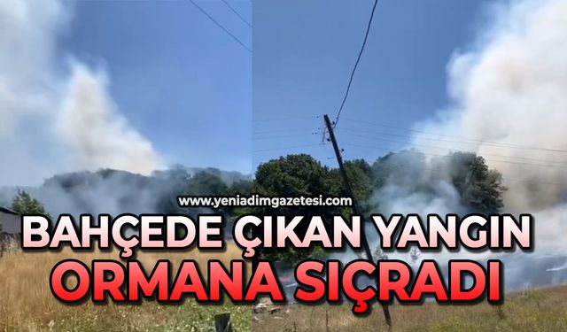 Bahçede çıkan yangın ormana sıçradı