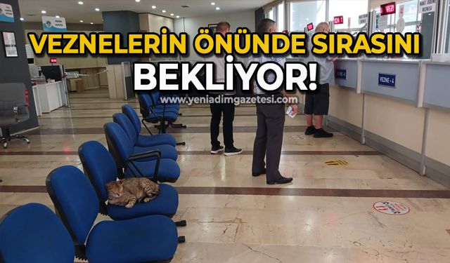 Veznelerin önünde sırasını bekliyor!