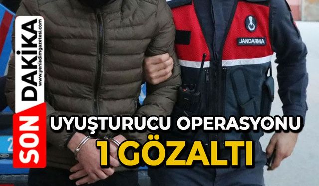 Uyuşturucu operasyonu bir gözaltı