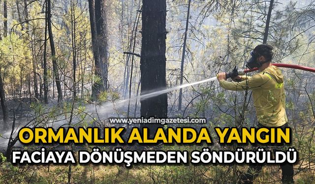 Ormanlık alanda yangın faciaya dönüşmeden söndürüldü