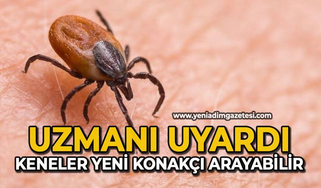 Uzmanı uyardı: "Keneler yeni konakçı arayabilir"