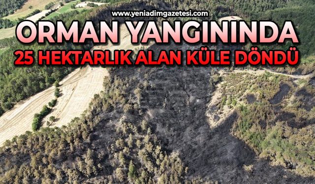 Orman yangınında 25 hektarlık alan küle döndü