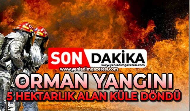 Orman yangını: 5 hektarlık alan küle döndü