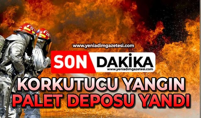 Korkutucu yangın: Palet deposu yandı