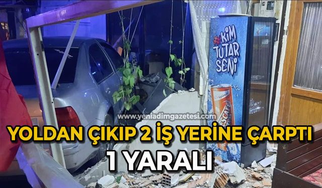 Yoldan çıkıp 2 iş yerine çarptı 1 yaralı