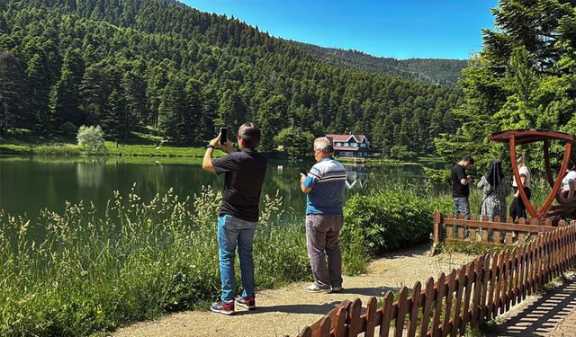 Yangın riskine karşı ormanlık alanlara giriş yasaklandı