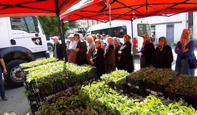 108 bin fide dağıtıldı, çiftçiler akın etti