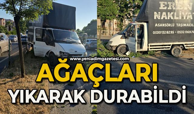 Ağaçları yıkarak durabildi