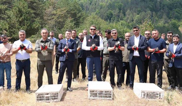 500 keklik doğaya salındı