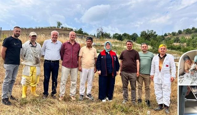 Arısı için suni tohumlama