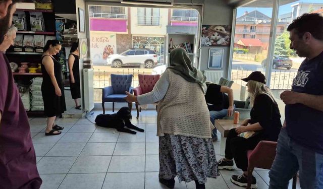 Bir yıl sonra "çip" sayesinde kavuştular