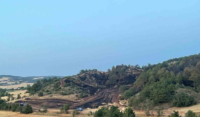 Bolu’daki orman yangını kontrol altına alındı