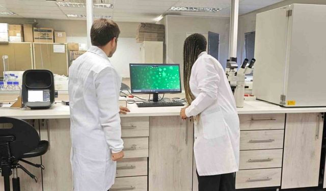 Doktora Öğrencisi Güney Afrika’da kanser araştırmalarına katıldı