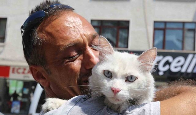 Kayıp kedisine günler sonra kavuştu, bu kez mutluluktan ağladı