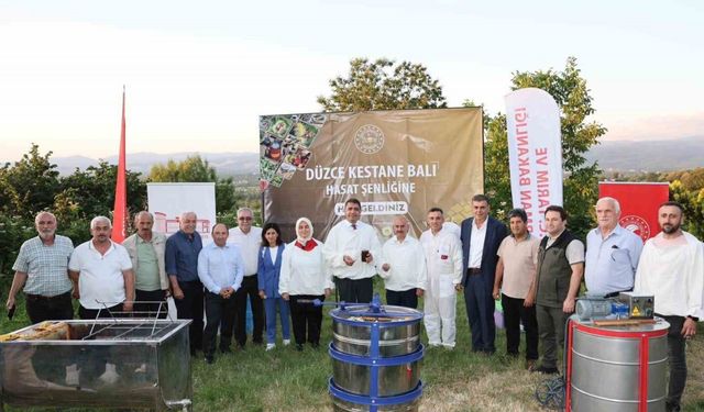 Kestane balı hasadı yapıldı