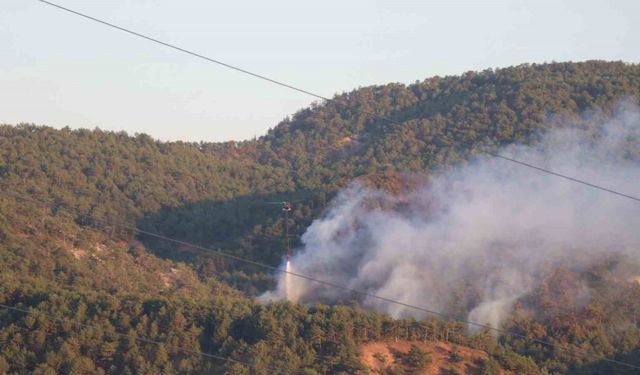 Orman yangınına havadan ve karadan müdahale sürüyor