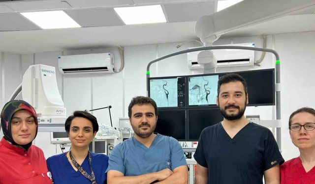 Şah damarı darlıklarına stentle müdahale başladı