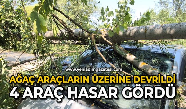 Ağaç araçların üzerine devrildi: 4 araç hasar gördü