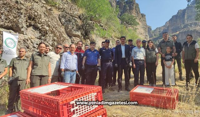 Doğaya 600 kınalı keklik bırakıldı