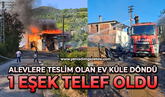 Alevlere teslim olan ev küle döndü: 1 eşek telef oldu
