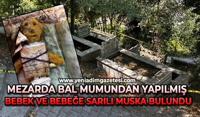 SİYASET