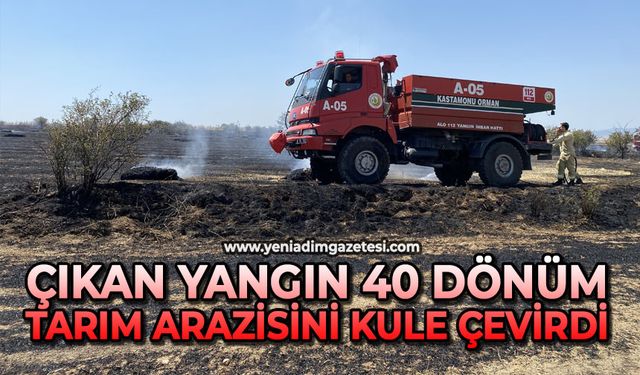 Çıkan yangın 40 dönüm tarım arazisini kule çevirdi