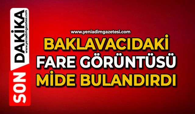 Baklavacıdaki fare görüntüsü mide bulandırdı