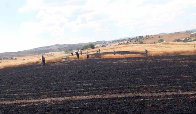 Buğday ekili tarlada çıkan yangında 15 dönüm alan zarar gördü