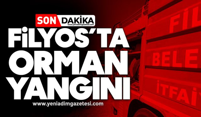 SİYASET