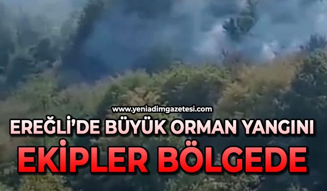 Ereğli'de büyük orman yangını: Ekipler bölgeye sevk edildi