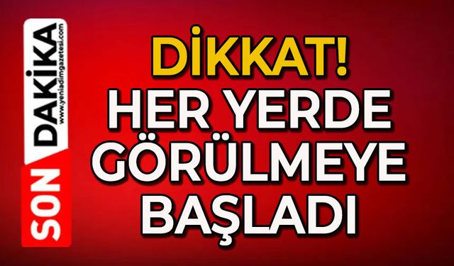 Kahverengi korkarca zararlısı ergenleri görülmeye başlandı