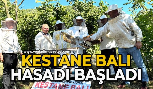 Kestane balı hasadı başladı