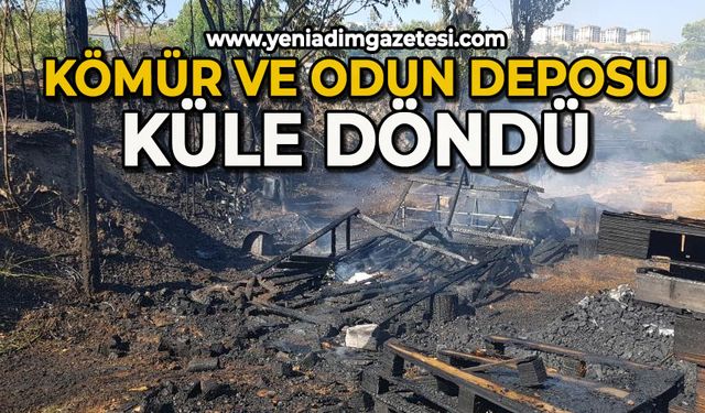 Kömür ve odun deposu küle döndü
