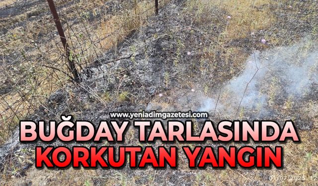 Buğday tarlasında korkutan yangın