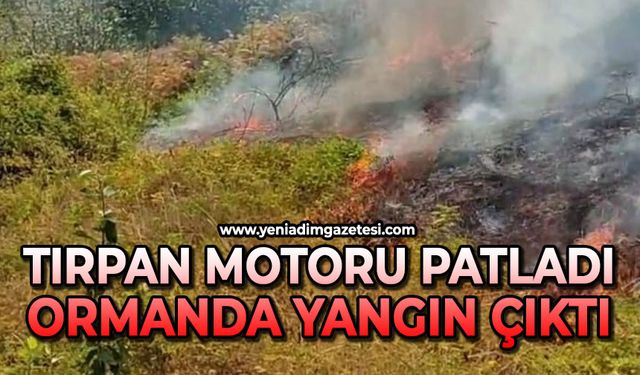 Patlayan tırpan motoru ormanı yaktı