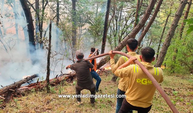 Karabük’te yangına müdahale sürüyor