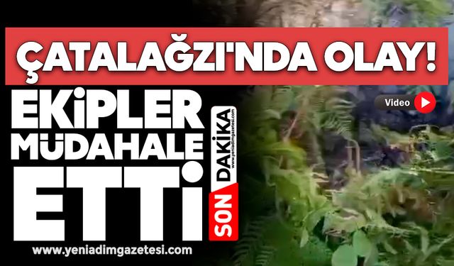 Çatalağzı'nda olay! Ekipler müdahale etti