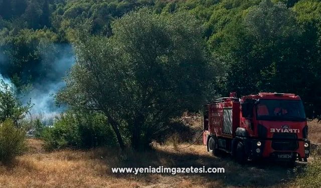 Ormanlık alanda çıkan yangın büyümeden söndürüldü