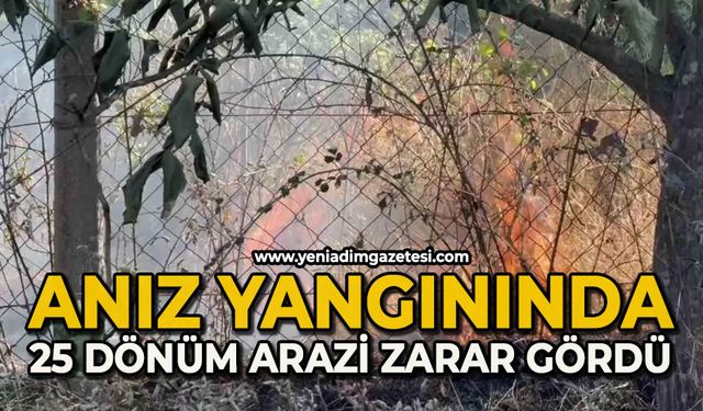 Anız yangınında 25 dönüm alan zarar gördü